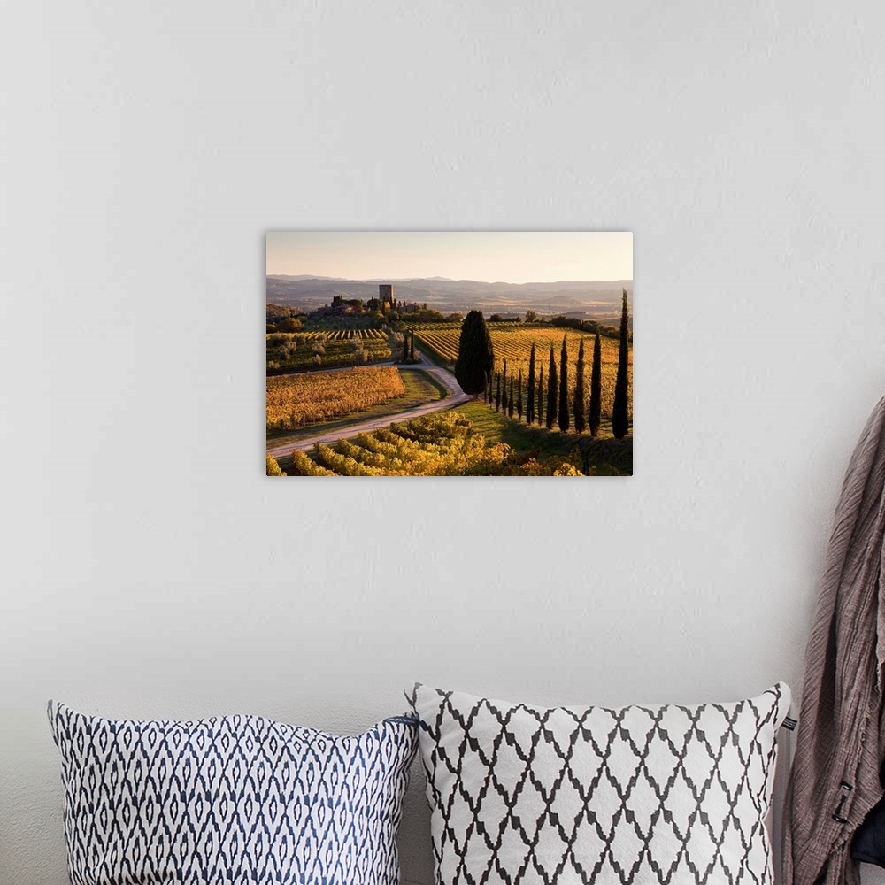 A bohemian room featuring Italy, Tuscany, Mediterranean area, Brunello wine road, Siena district, Orcia Valley, Sangiovese ...