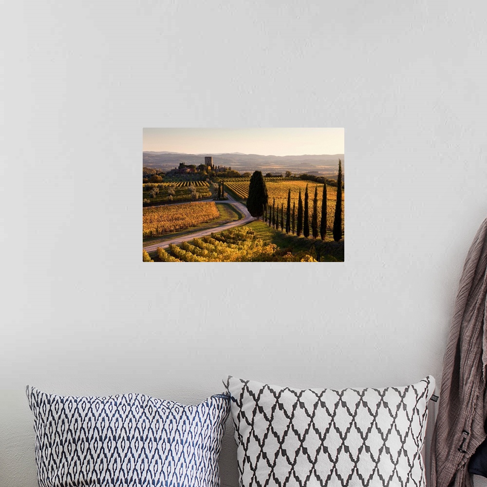 A bohemian room featuring Italy, Tuscany, Mediterranean area, Brunello wine road, Siena district, Orcia Valley, Sangiovese ...