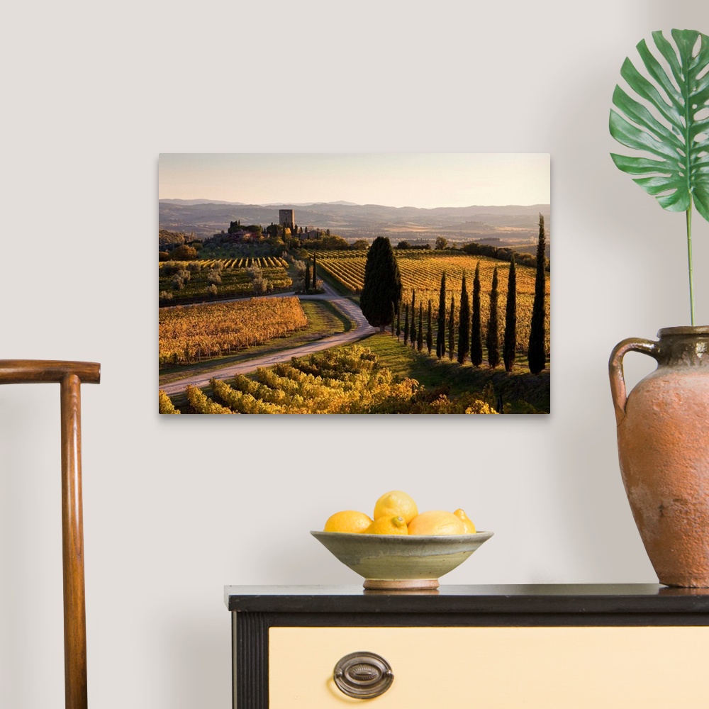 A traditional room featuring Italy, Tuscany, Mediterranean area, Brunello wine road, Siena district, Orcia Valley, Sangiovese ...