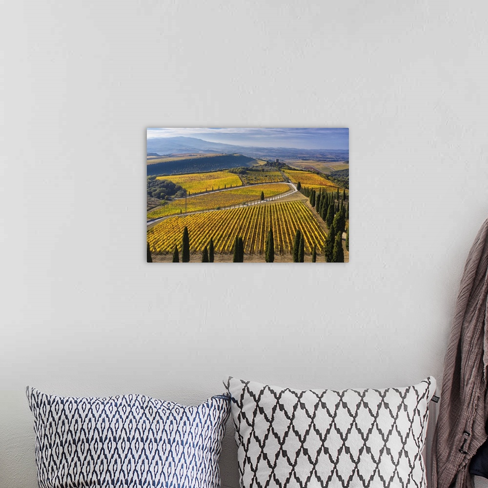 A bohemian room featuring Italy, Tuscany, Brunello wine road, Siena district, Orcia Valley, Montalcino, Vineyards of the Po...