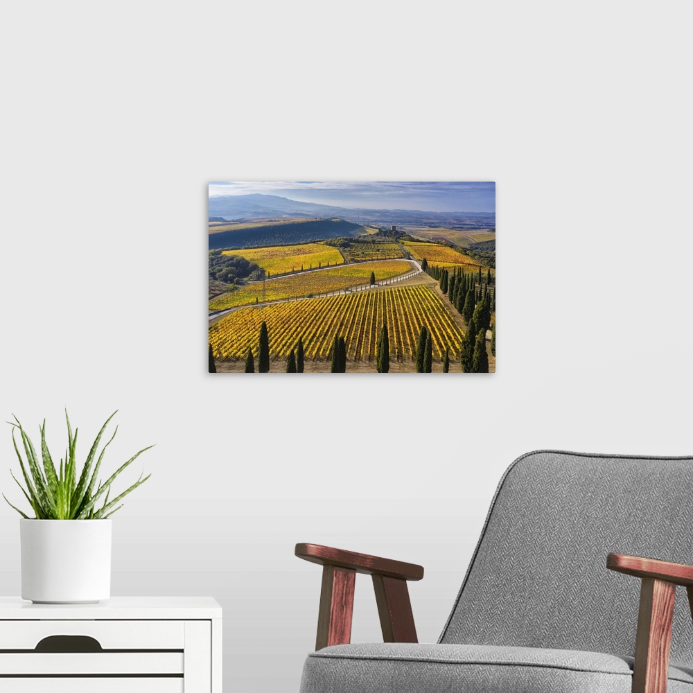 A modern room featuring Italy, Tuscany, Brunello wine road, Siena district, Orcia Valley, Montalcino, Vineyards of the Po...