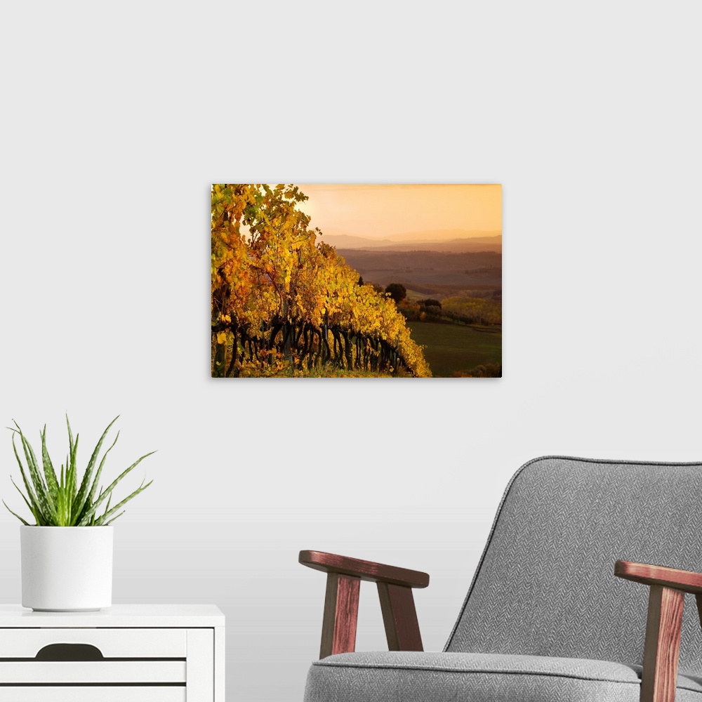 A modern room featuring Italy, Tuscany, Chianti, Castellina in Chianti, Landscape close to the village