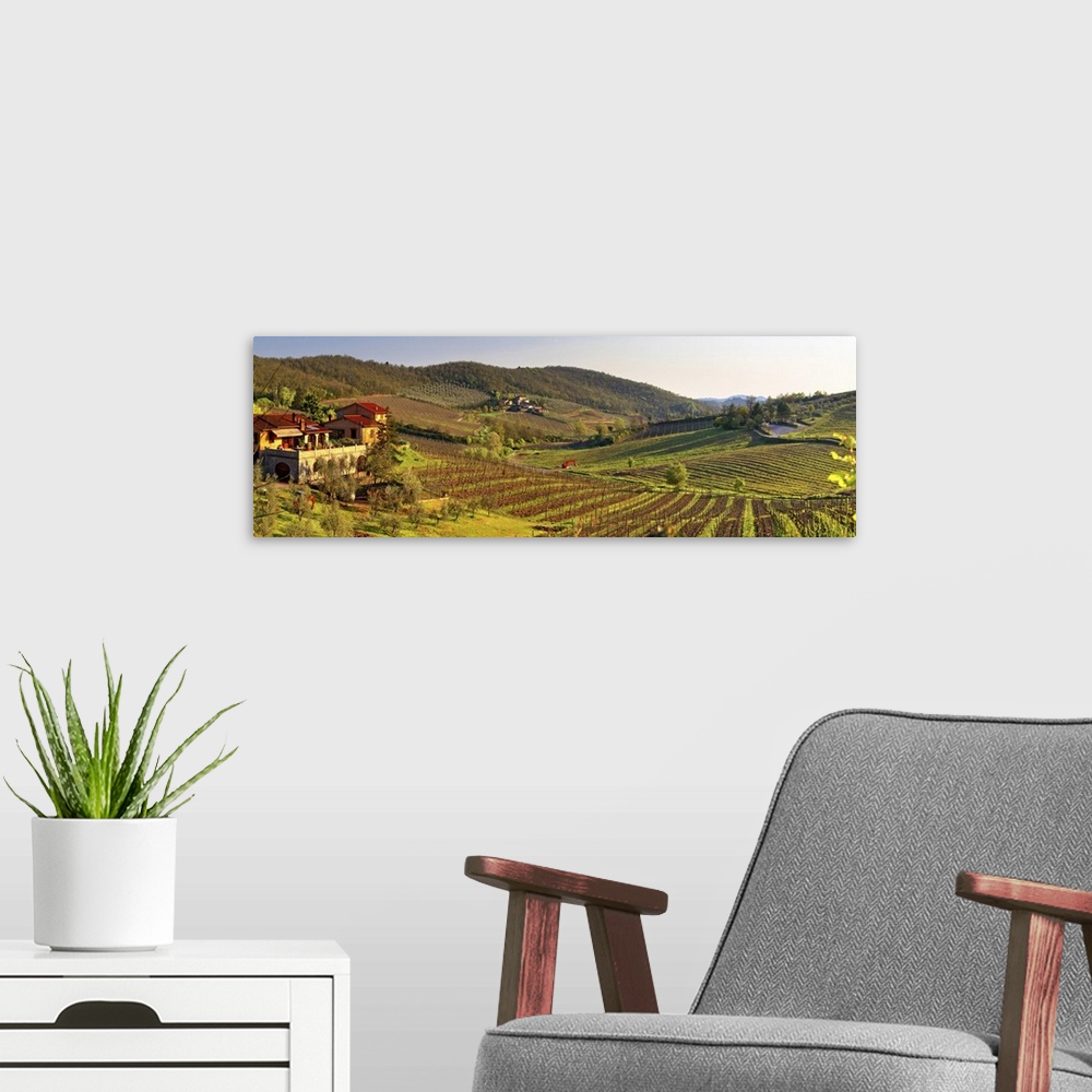 A modern room featuring Italy, Tuscany, Mediterranean area, Siena district, Chianti, Castellina in Chianti, Vineyards at ...