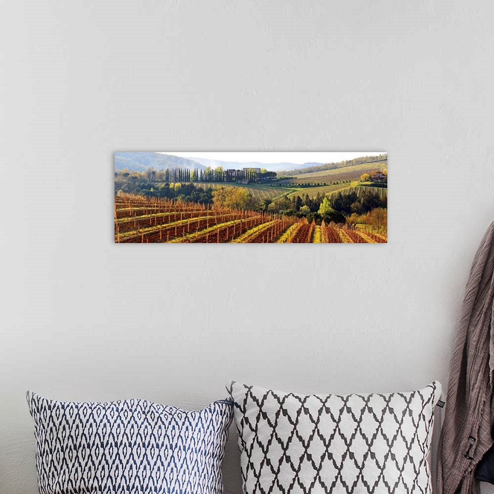 A bohemian room featuring Italy, Tuscany, Mediterranean area, Siena district, Chianti, Castellina in Chianti, Vineyards at ...