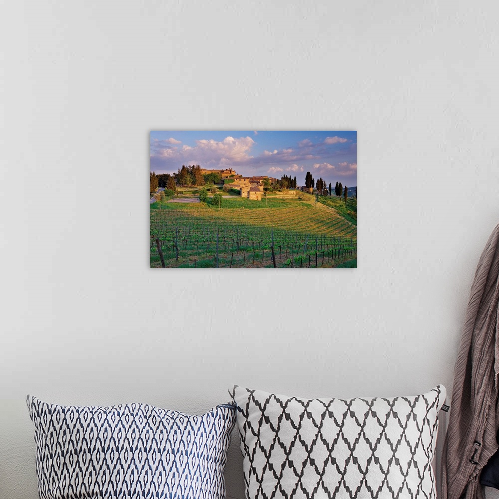 A bohemian room featuring The medieval village of Montevecchi surrounded by vineyards, perched on a hill near Radda in Chia...