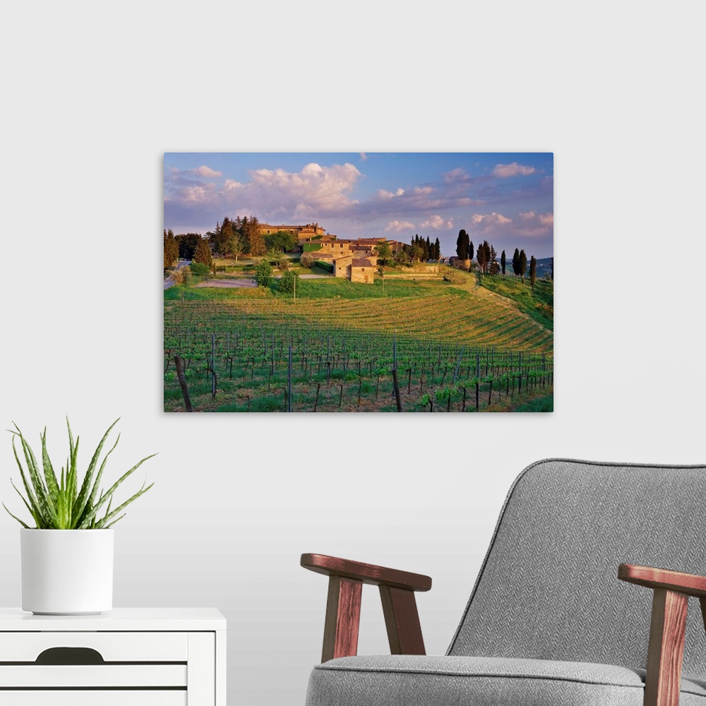 A modern room featuring The medieval village of Montevecchi surrounded by vineyards, perched on a hill near Radda in Chia...