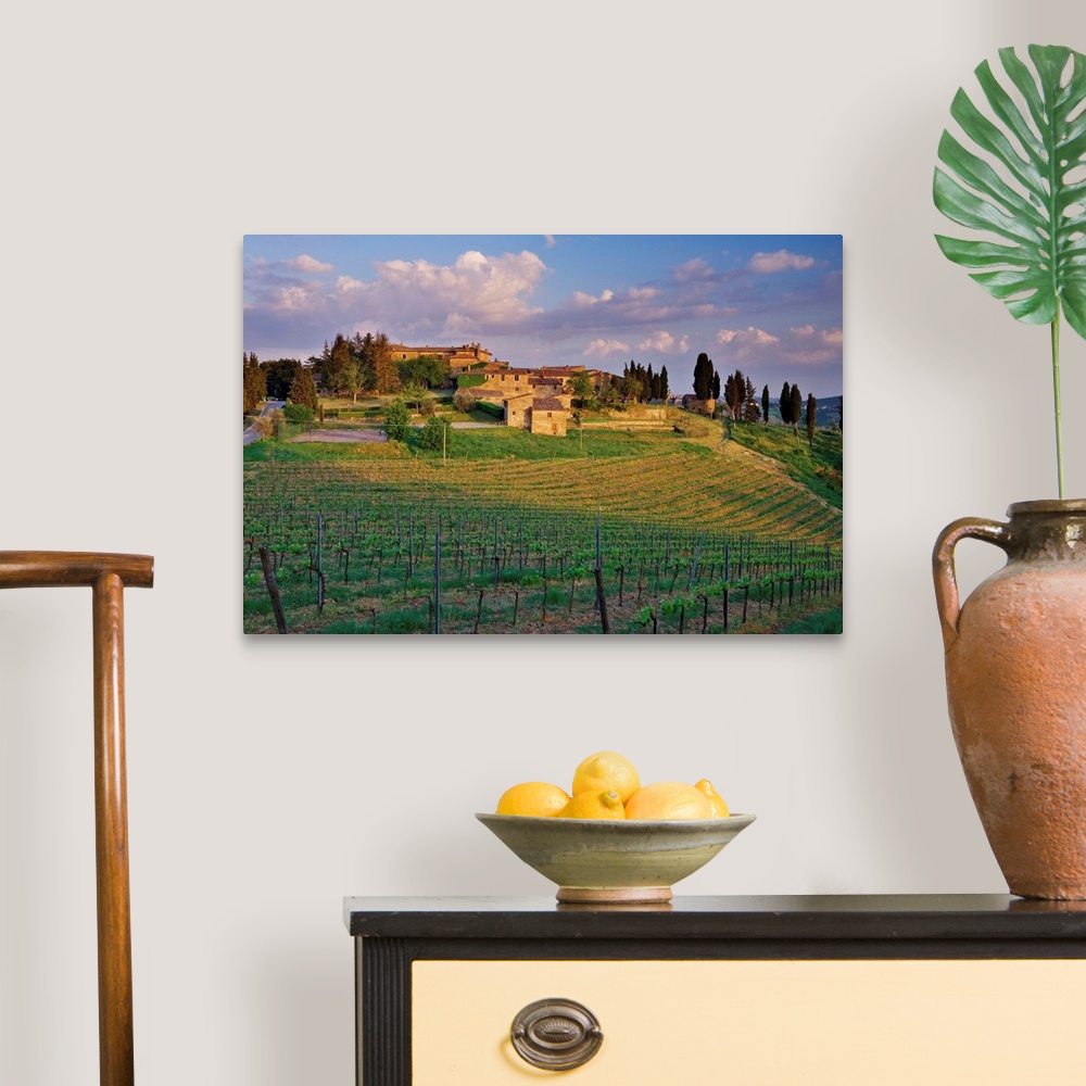 A traditional room featuring The medieval village of Montevecchi surrounded by vineyards, perched on a hill near Radda in Chia...