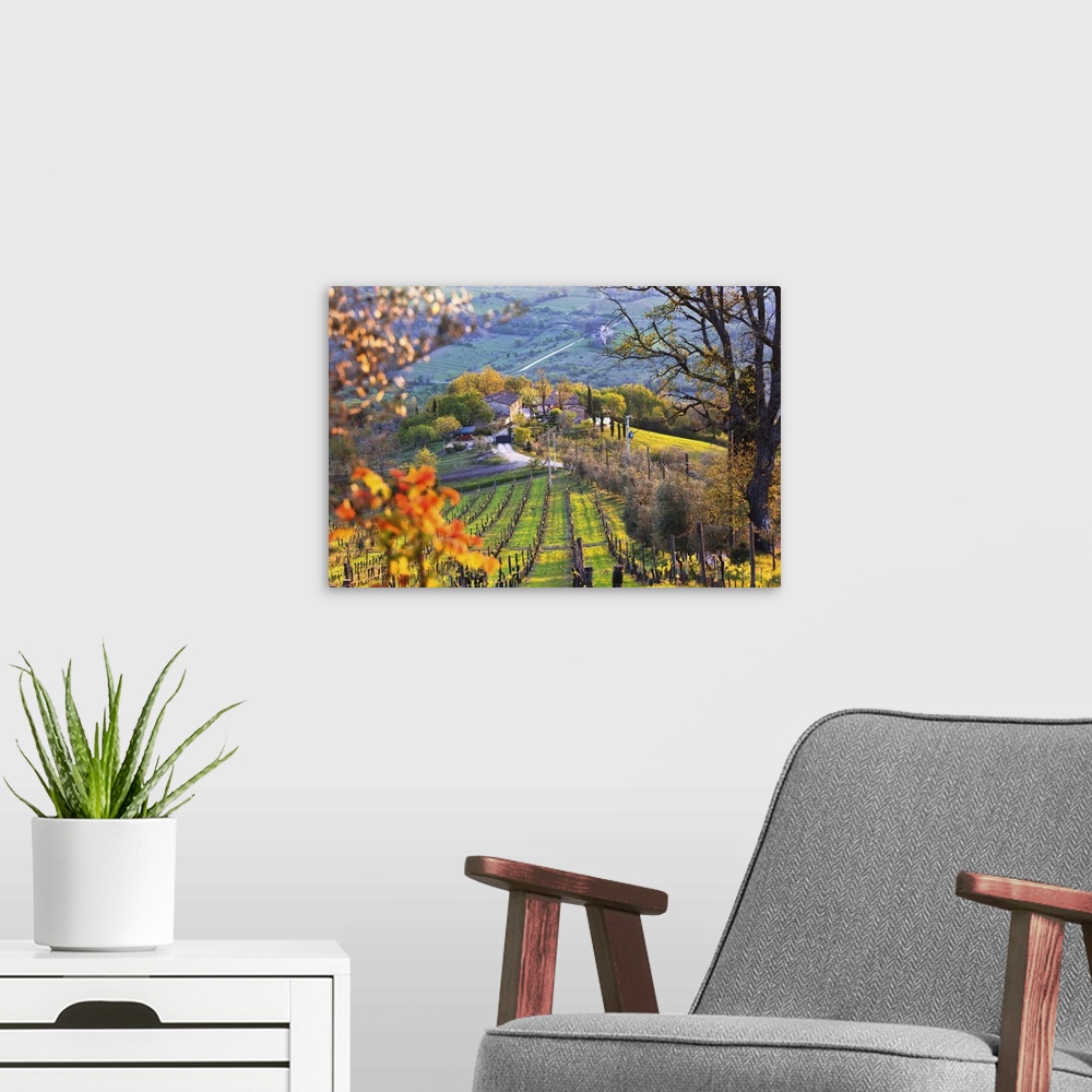 A modern room featuring Italy, Tuscany, Mediterranean area, Firenze district, Chianti, Greve in Chianti, Sunset on old manor