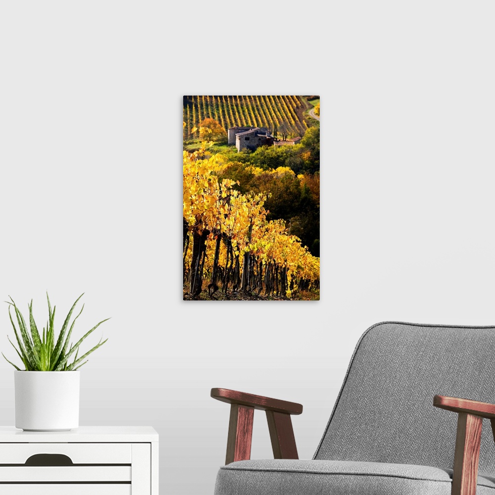 A modern room featuring Italy, Tuscany, Chianti, Greve in Chianti, vineyards