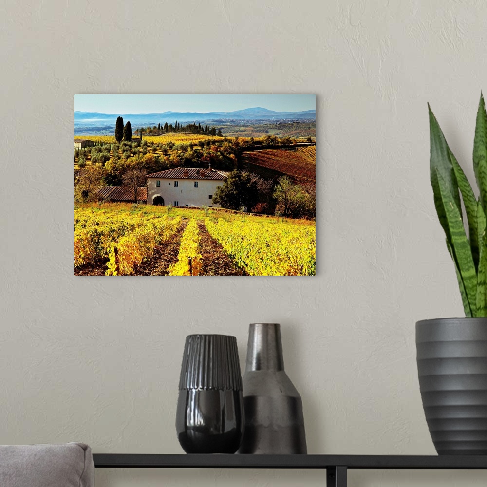 A modern room featuring Italy, Tuscany, Chianti, Mediterranean area, Firenze district, Brolio
