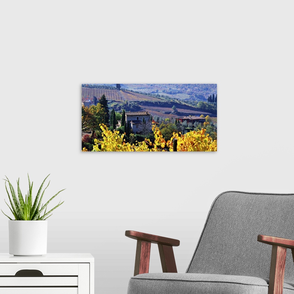 A modern room featuring Italy, Tuscany, Chianti, Panzano in Chianti, Country houses