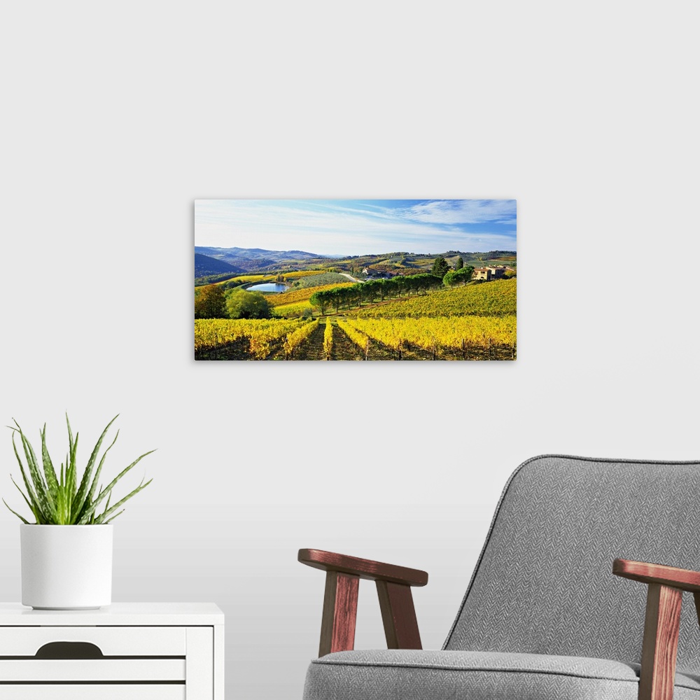 A modern room featuring Italy, Tuscany, Chianti, Panzano in Chianti, Landscape close to the village