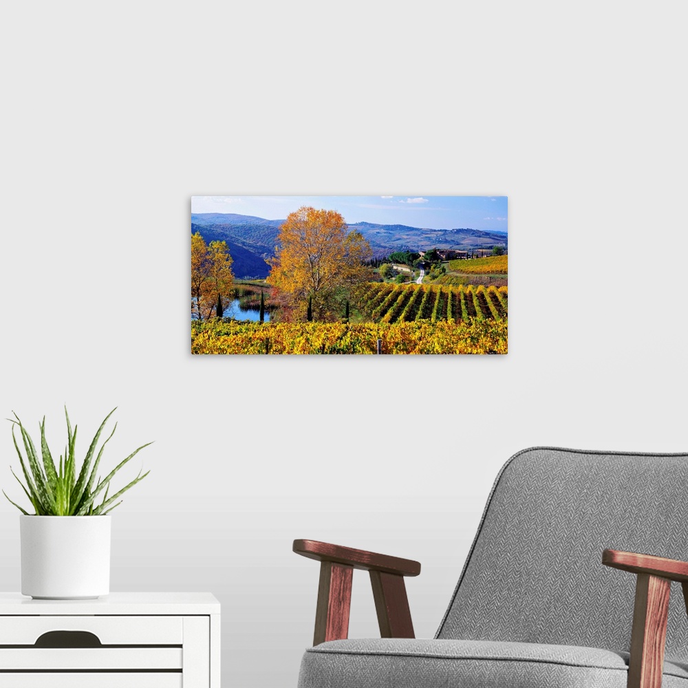 A modern room featuring Italy, Tuscany, Chianti, Panzano in Chianti, landscape close to the village