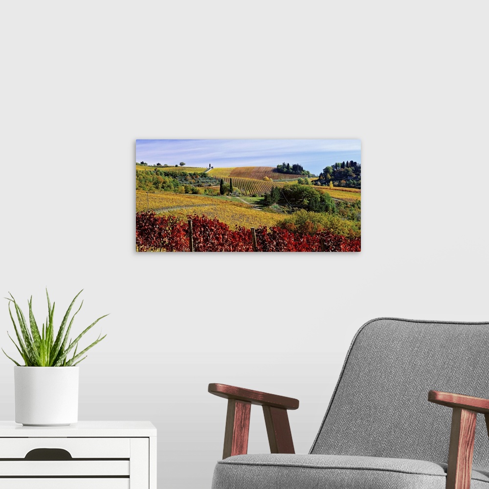 A modern room featuring Italy, Tuscany, Chianti, Vineyards.