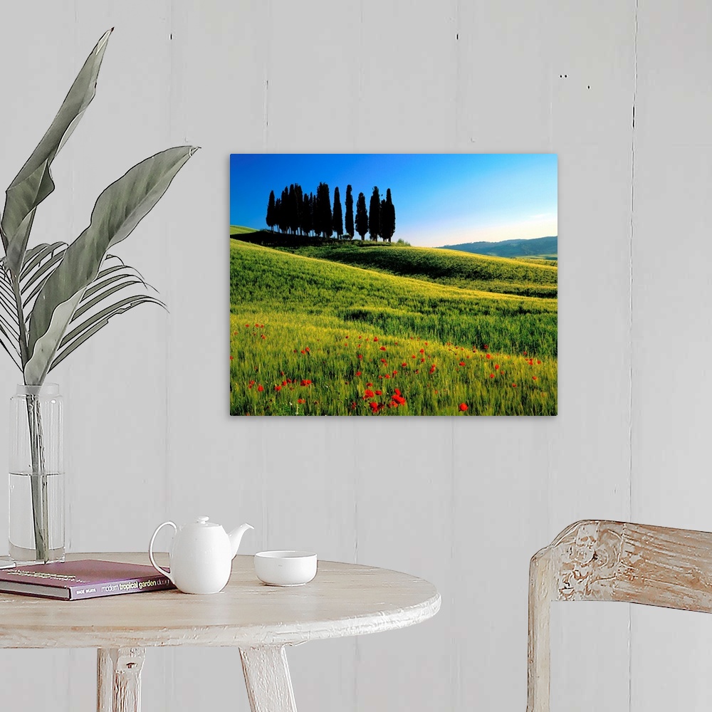 A farmhouse room featuring Italy, Tuscany, Cypress trees on typical landscape