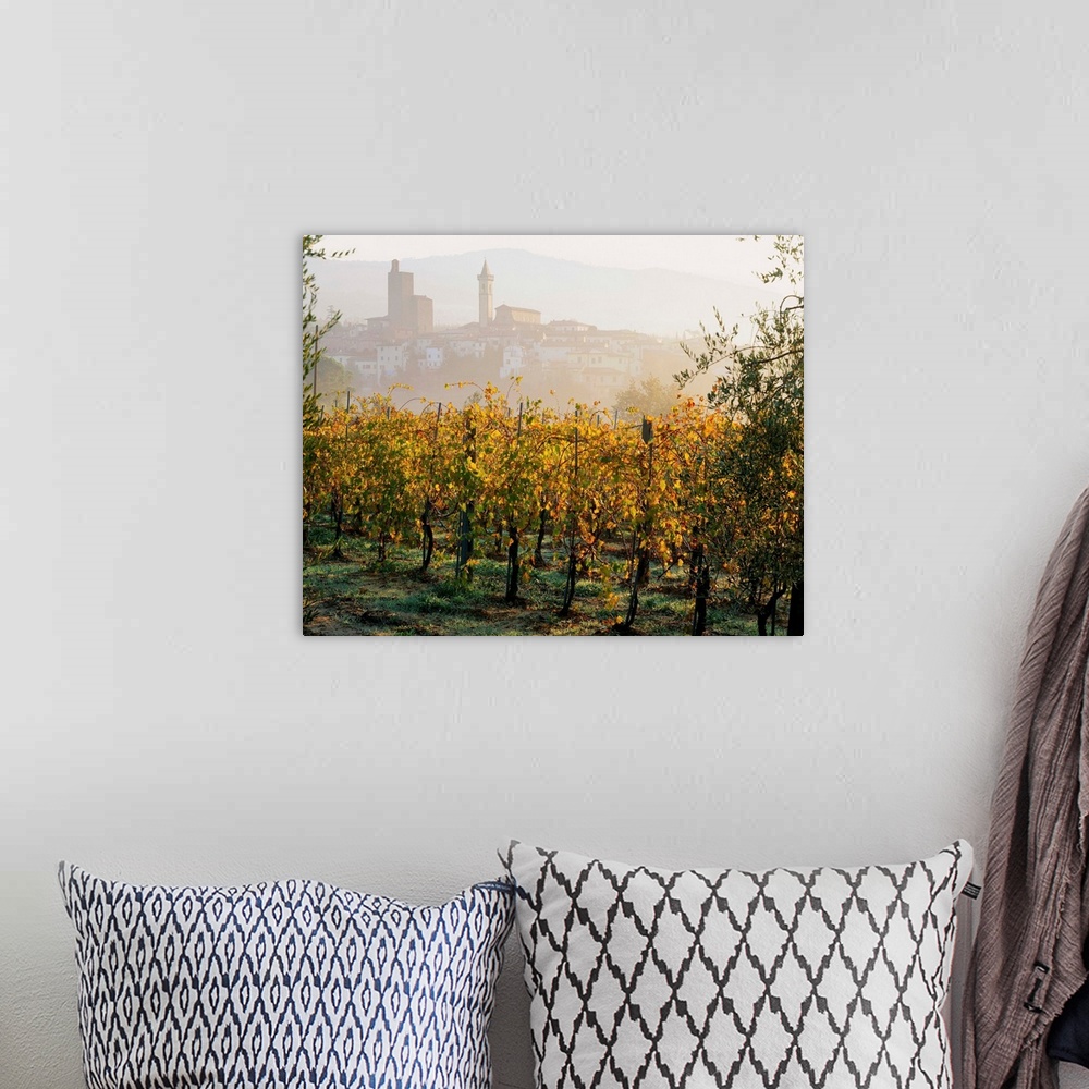 A bohemian room featuring Italy, Tuscany, Florence, Monte Albano area and the little town of Vinci In background