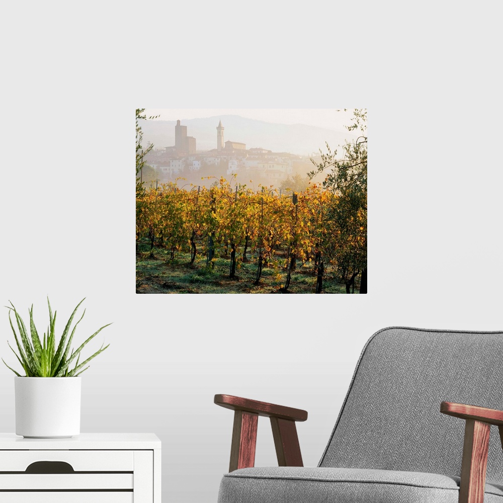 A modern room featuring Italy, Tuscany, Florence, Monte Albano area and the little town of Vinci In background
