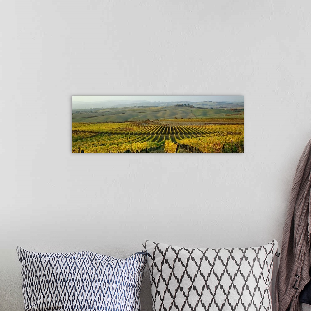A bohemian room featuring Italy, Tuscany, Landscape near Montalcino