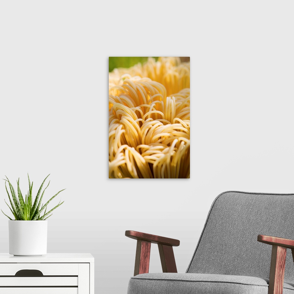 A modern room featuring Italy, Italia, Tuscany, Toscana, Lari village, spaghetti