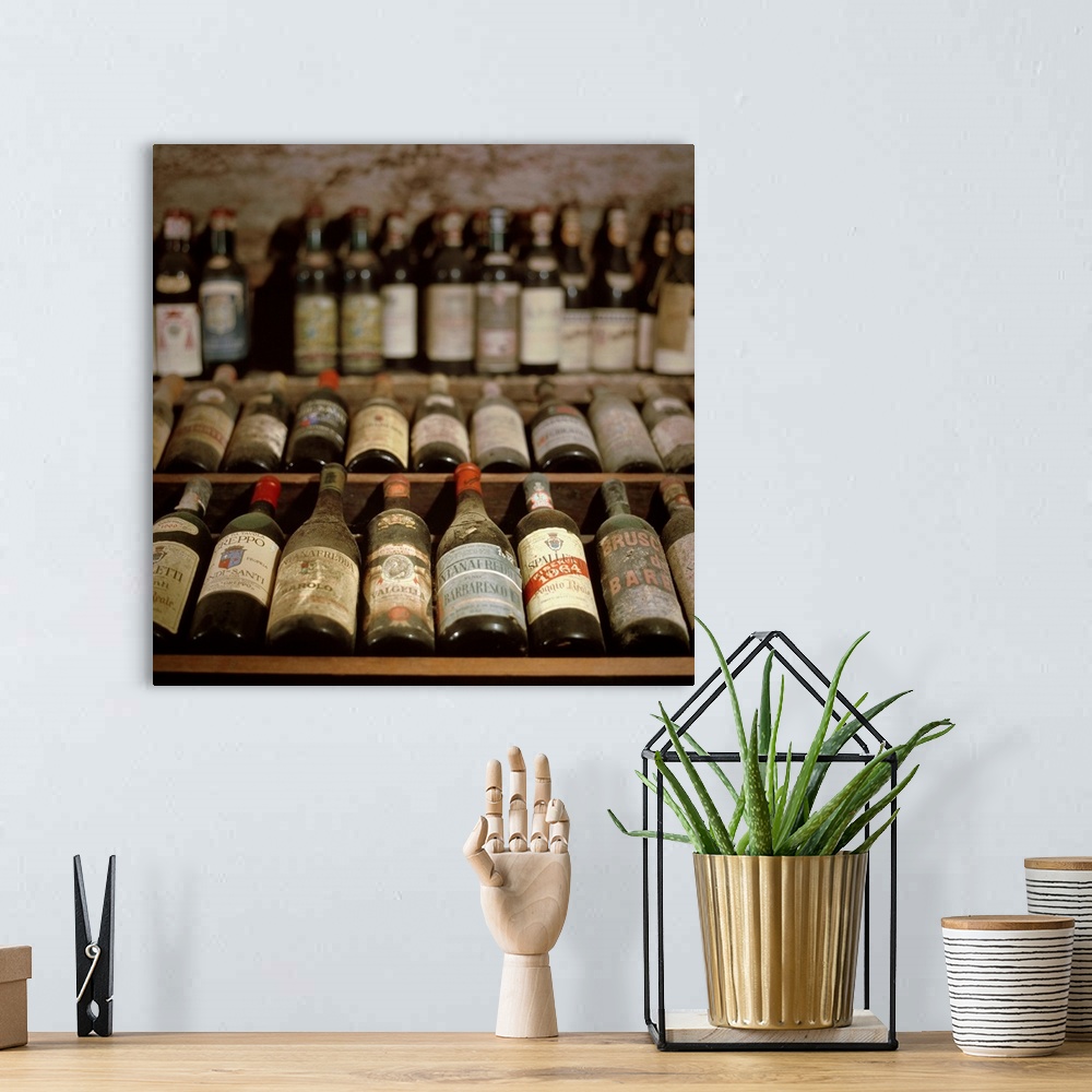 A bohemian room featuring Italy, Tuscany, Lucca, Collection of wine in the Vanni cellar