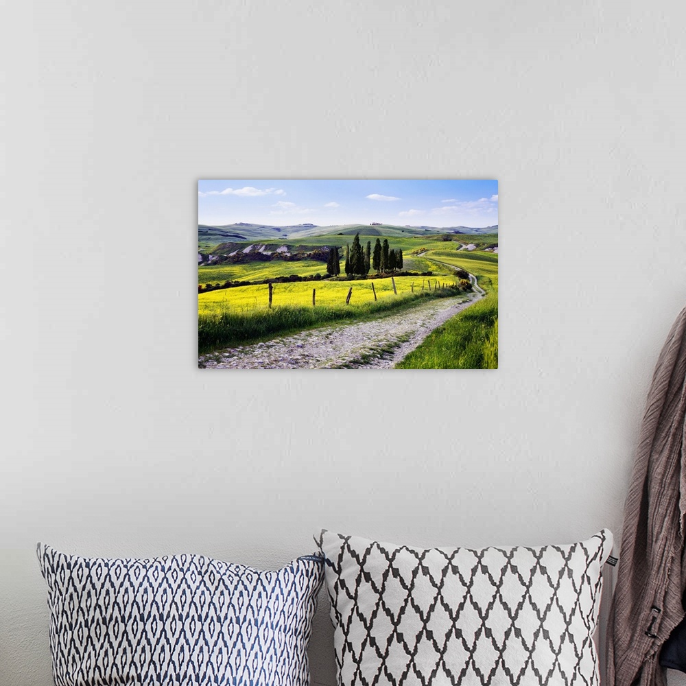 A bohemian room featuring Italy, Tuscany, Mediterranean area, Siena district, Typical countryside