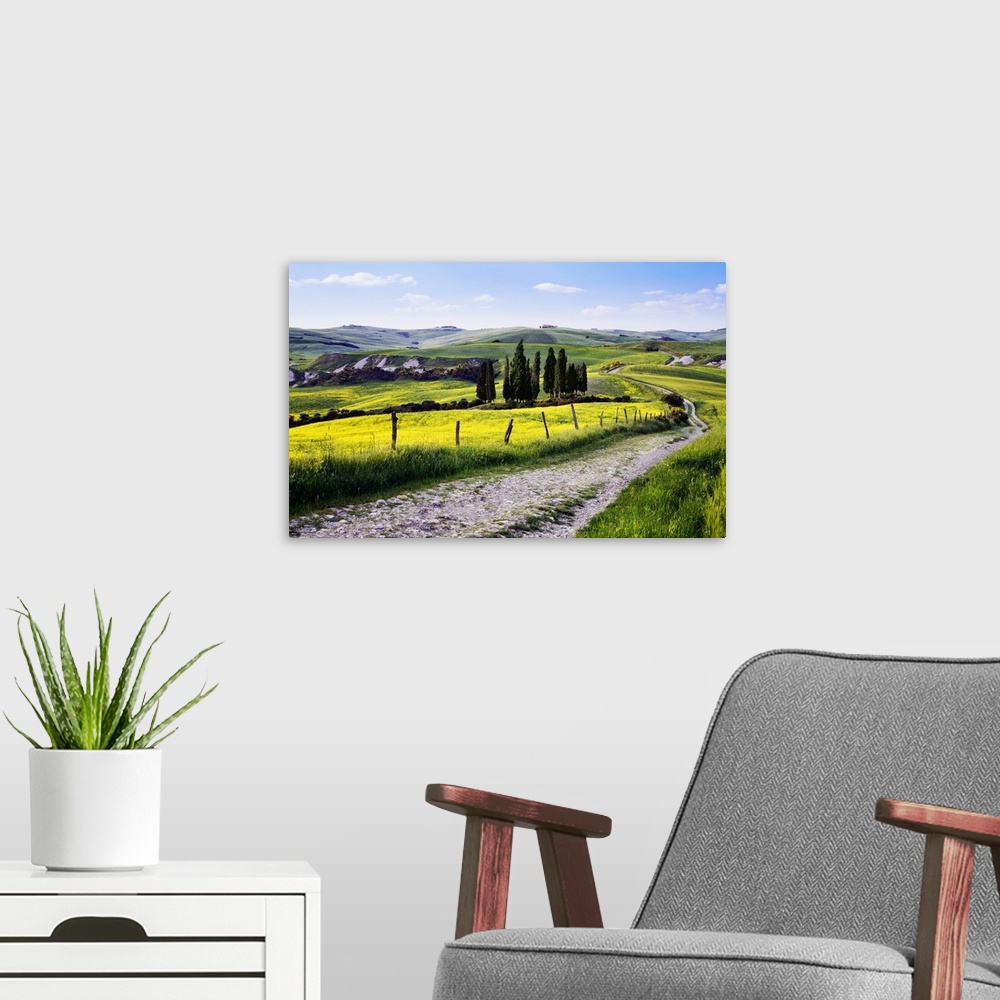 A modern room featuring Italy, Tuscany, Mediterranean area, Siena district, Typical countryside
