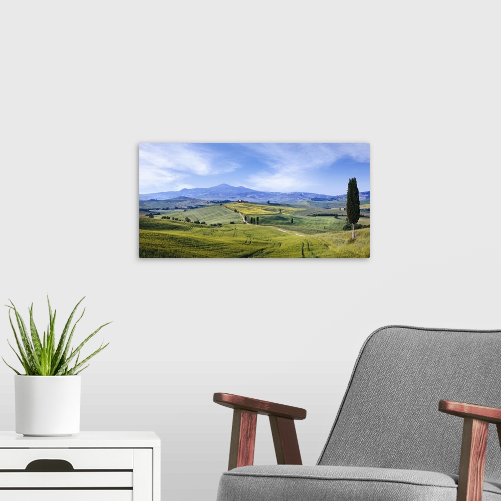 A modern room featuring Italy, Tuscany, Mediterranean area, Siena district, Typical landscape