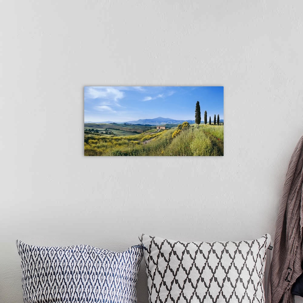 A bohemian room featuring Italy, Tuscany, Mediterranean area, Siena district, Typical landscape