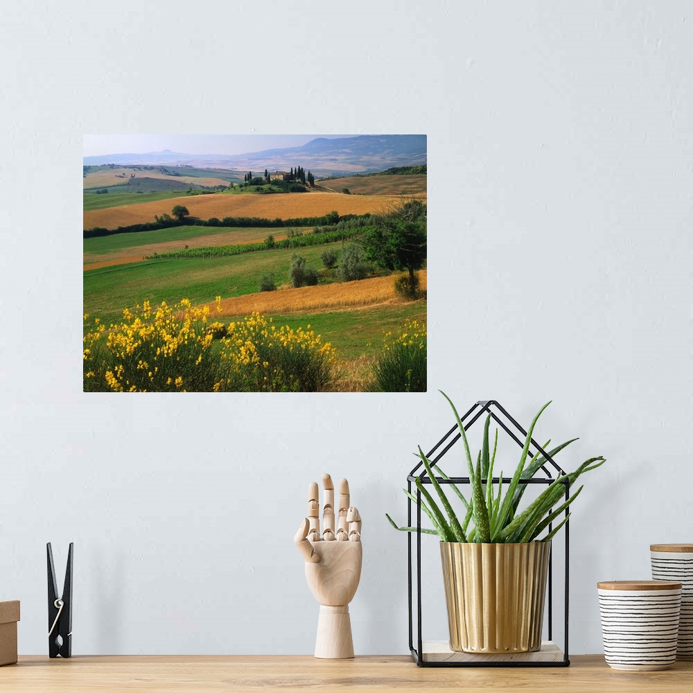 A bohemian room featuring Italy, Tuscany, Orcia Valley, hills with cypress tress