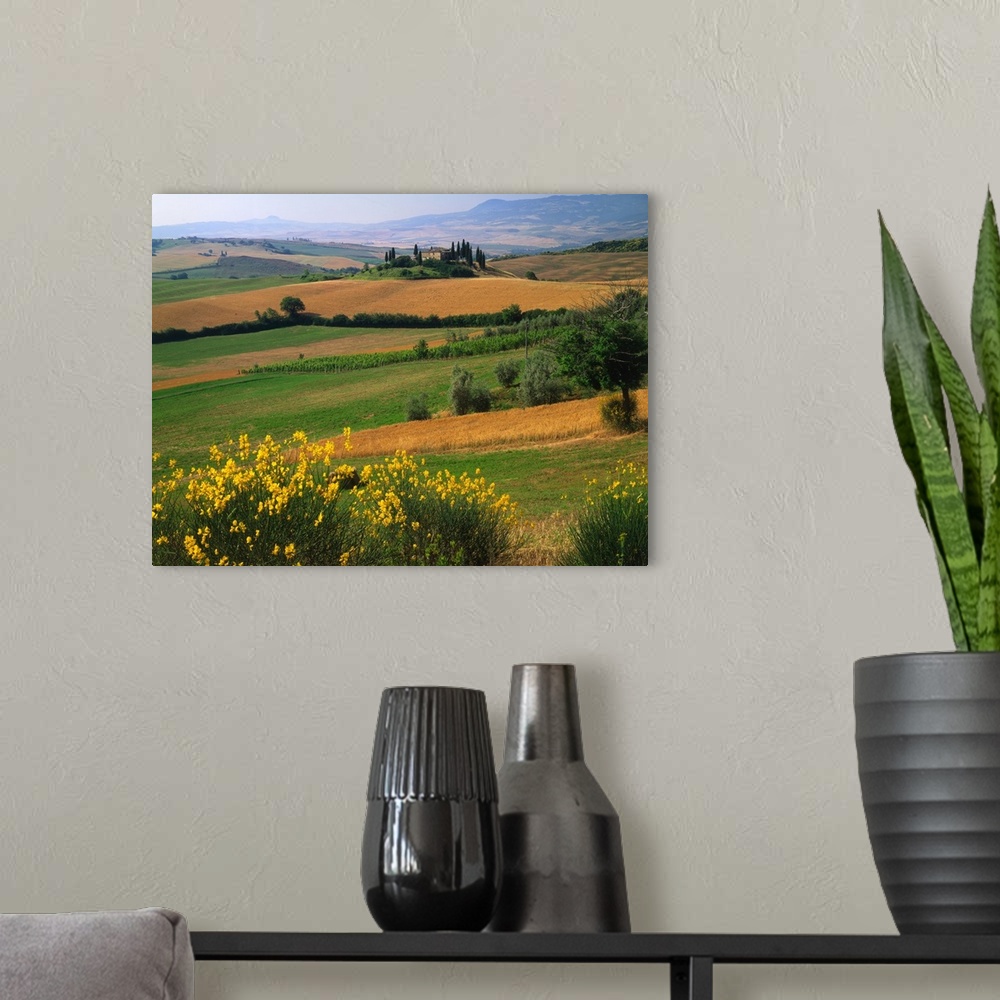 A modern room featuring Italy, Tuscany, Orcia Valley, hills with cypress tress