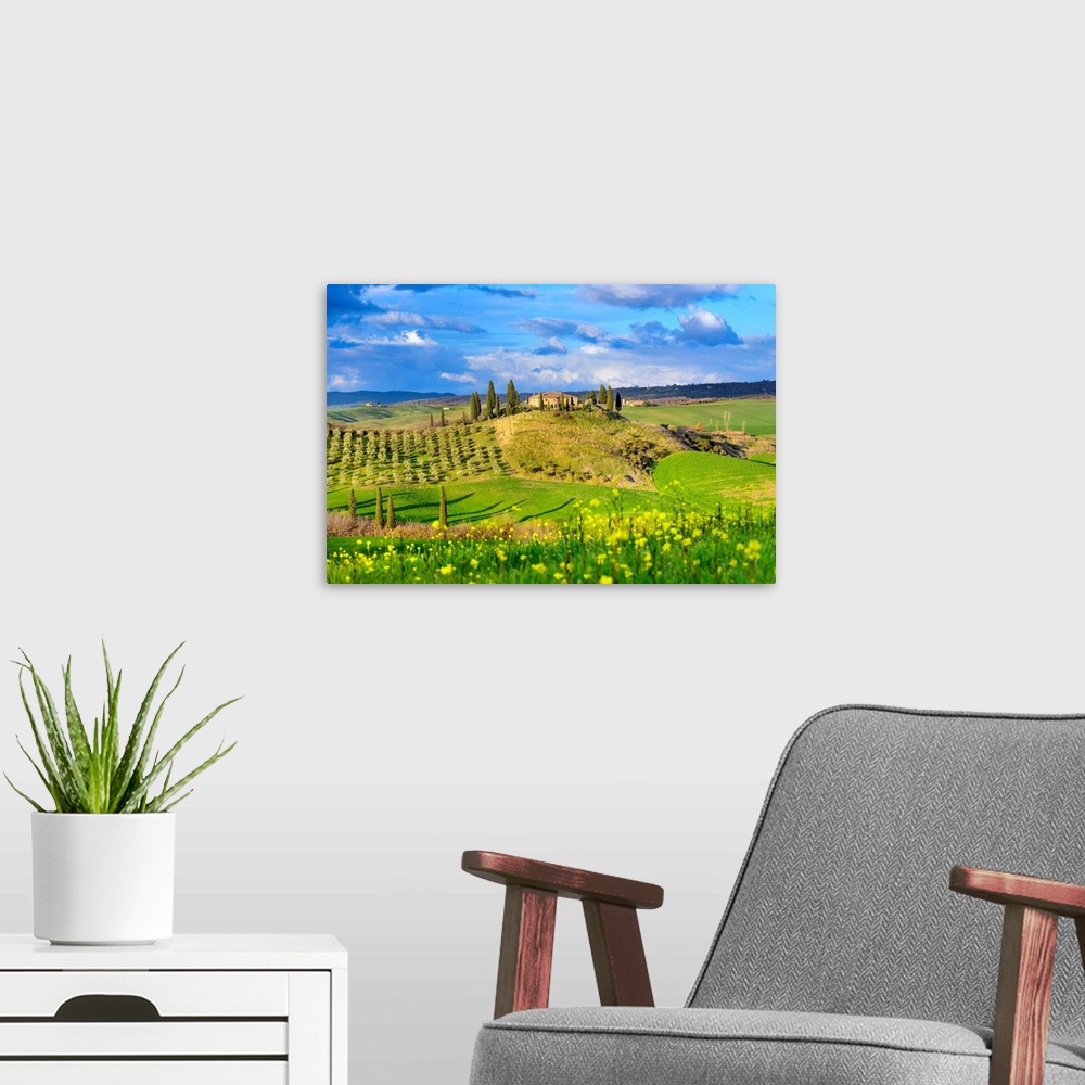 A modern room featuring Italy, Tuscany, Siena district, Orcia Valley, Hilly landscape with farmhouse and blooming fields.