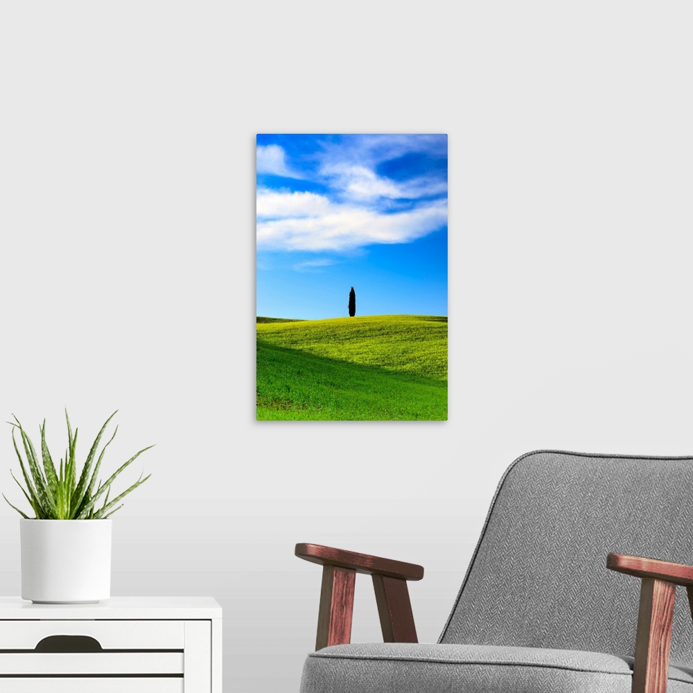 A modern room featuring Italy, Tuscany, Orcia Valley, Lonely cypress.