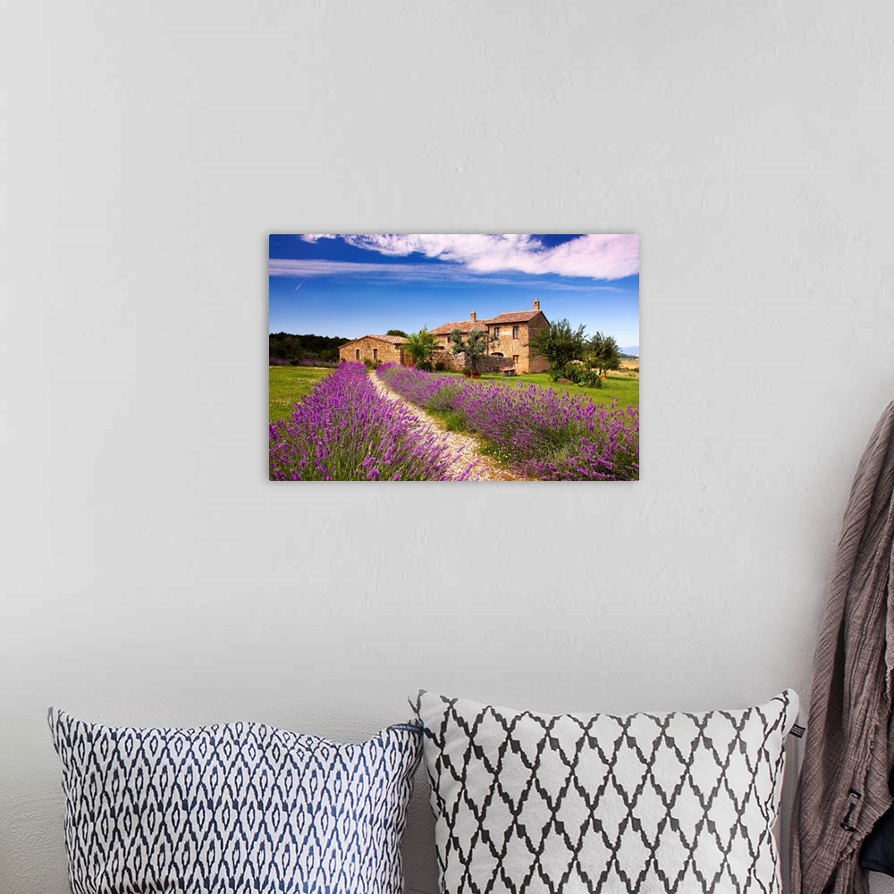 A bohemian room featuring Italy, Tuscany, Orcia Valley, road to Montichiello, typical country house and lavender
