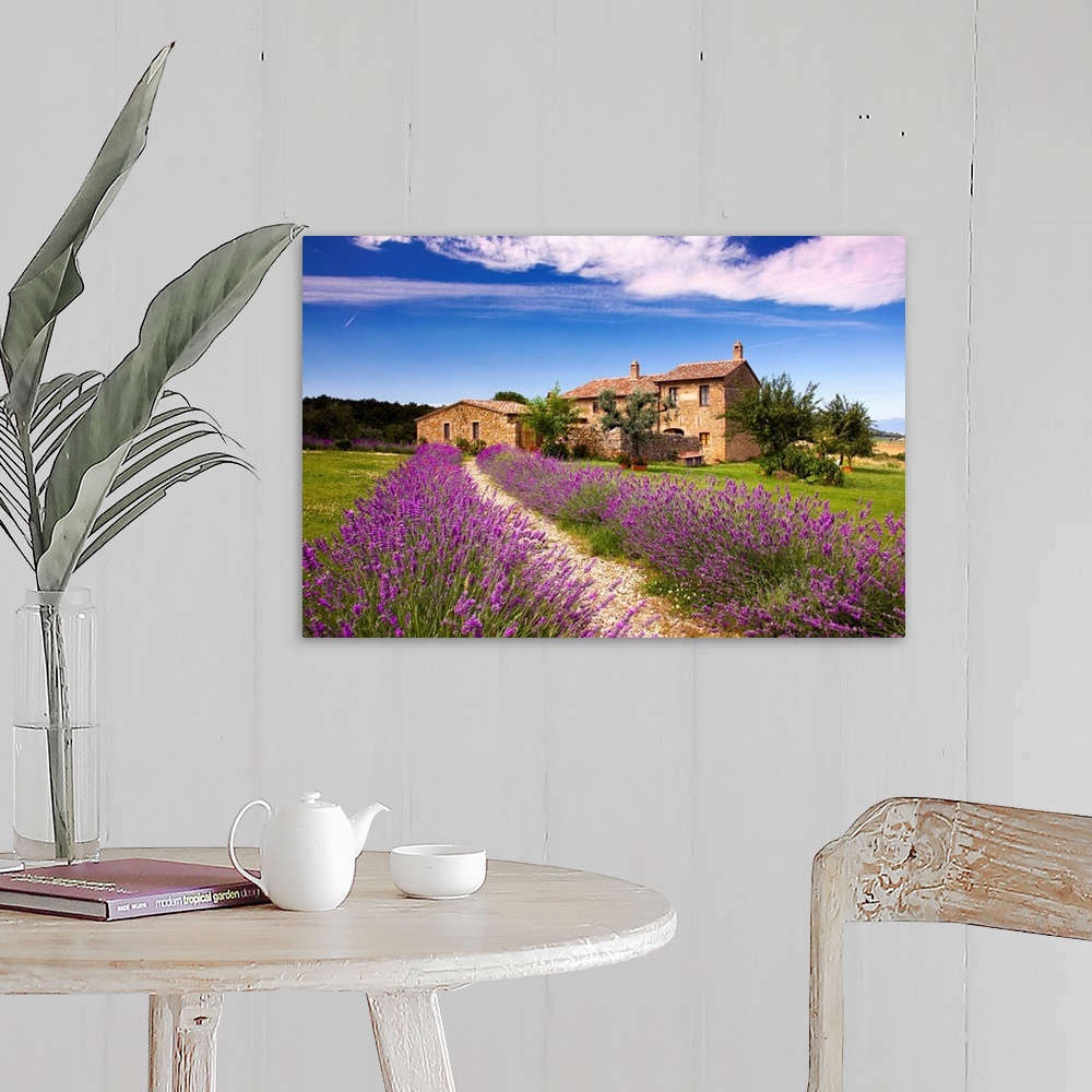 A farmhouse room featuring Italy, Tuscany, Orcia Valley, road to Montichiello, typical country house and lavender