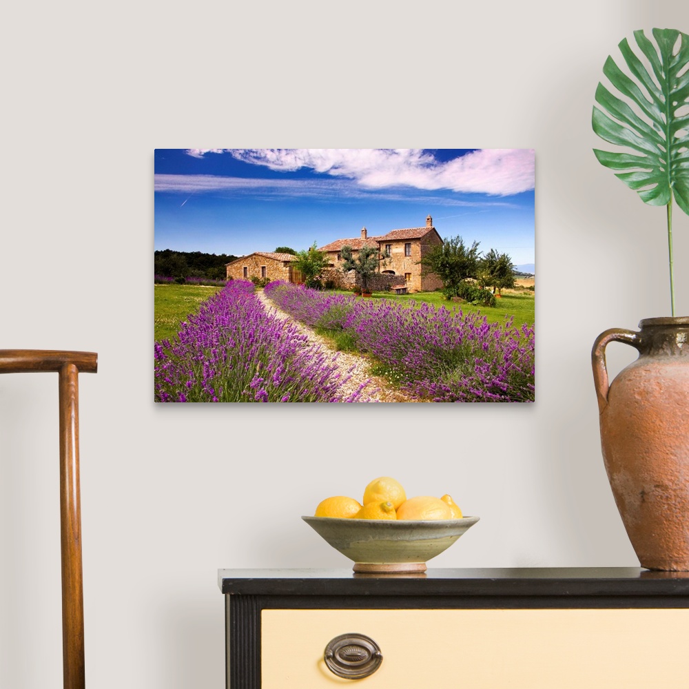 A traditional room featuring Italy, Tuscany, Orcia Valley, road to Montichiello, typical country house and lavender