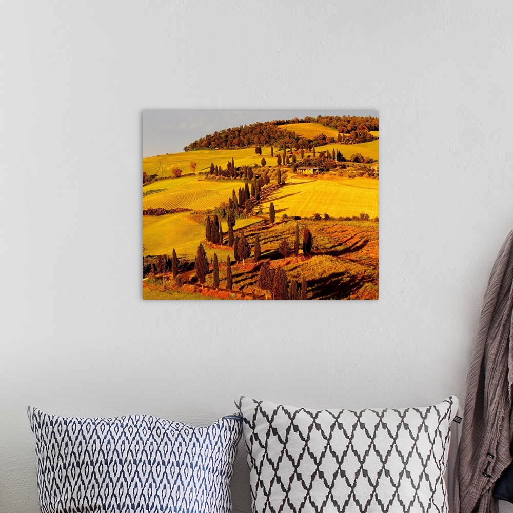 A bohemian room featuring Italy, Italia, Tuscany, Toscana, Orcia Valley,Val d'Orcia, Road with cypress near Monticchiello town
