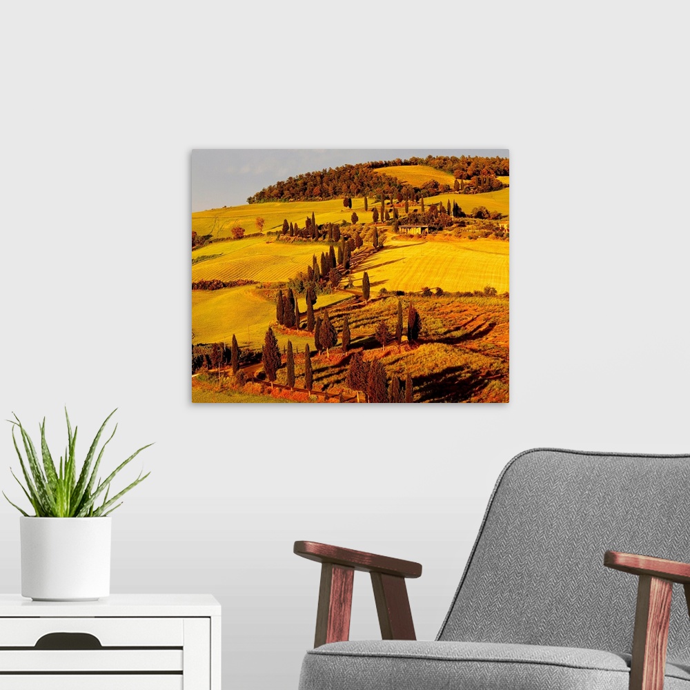 A modern room featuring Italy, Italia, Tuscany, Toscana, Orcia Valley,Val d'Orcia, Road with cypress near Monticchiello town