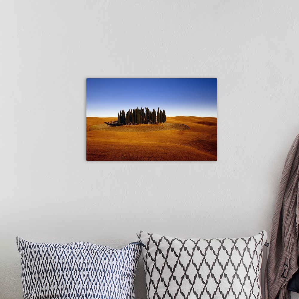 A bohemian room featuring Italy, Tuscany, Orcia Valley, Typical countryside