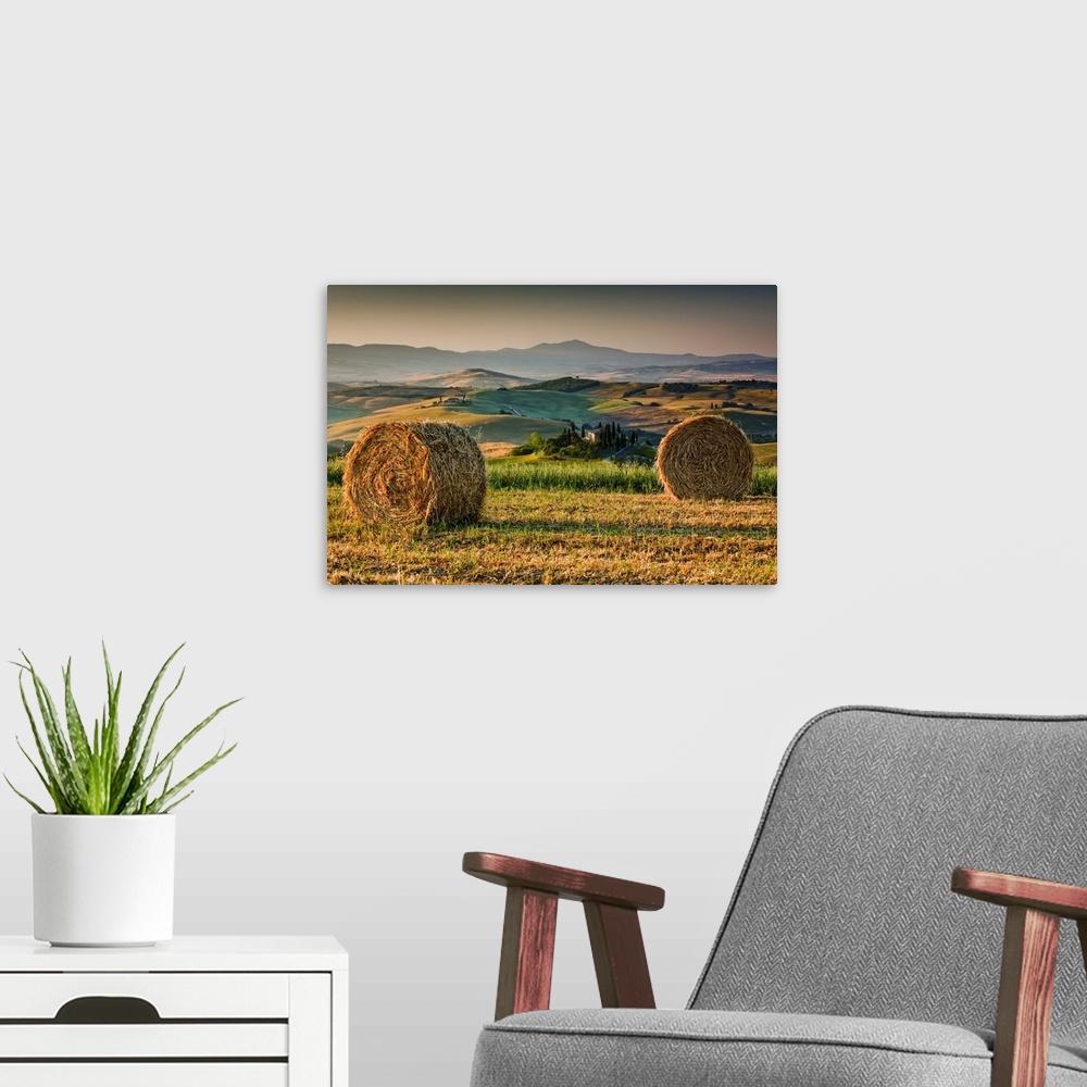 A modern room featuring Italy, Tuscany, Orcia Valley, Typical countryside near San Quirico d'Orcia