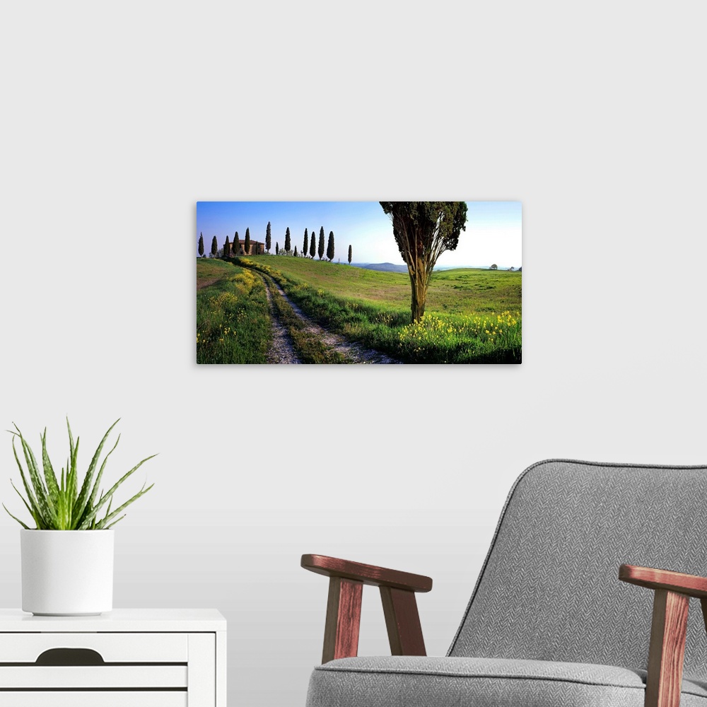 A modern room featuring Italy, Italia, Tuscany, Toscana, Orcia Valley,Val d'Orcia, Typical landscape