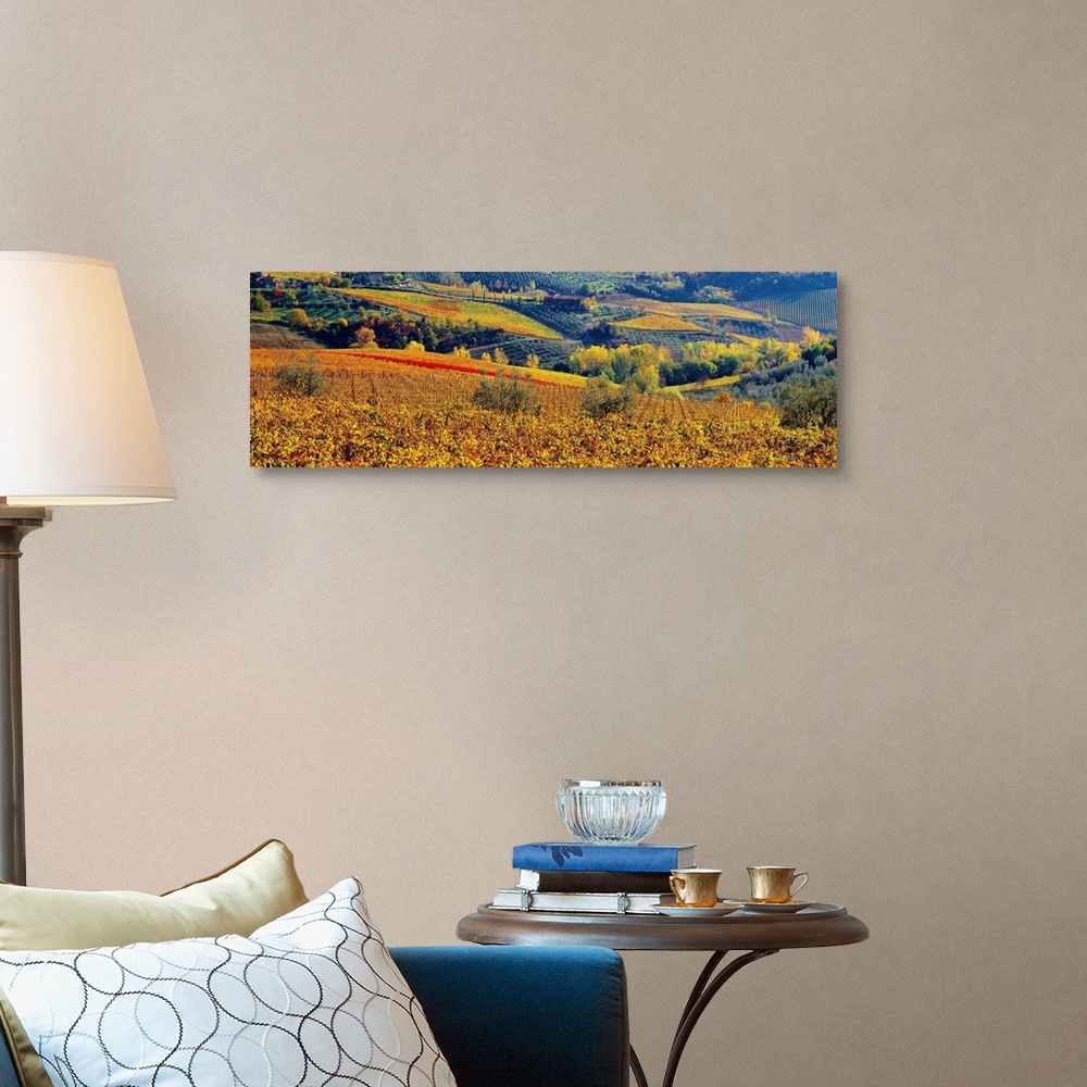 A traditional room featuring Italy, Tuscany, Panzano, landscape