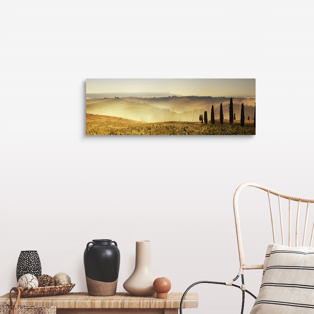 A farmhouse room featuring Italy, Tuscany, Pienza, Cypresses along a hill at sunrise