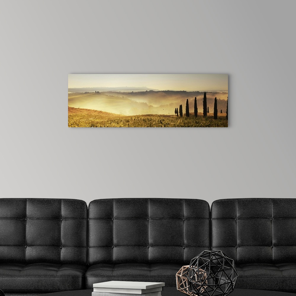 A modern room featuring Italy, Tuscany, Pienza, Cypresses along a hill at sunrise