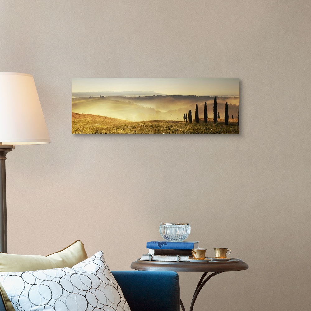 A traditional room featuring Italy, Tuscany, Pienza, Cypresses along a hill at sunrise