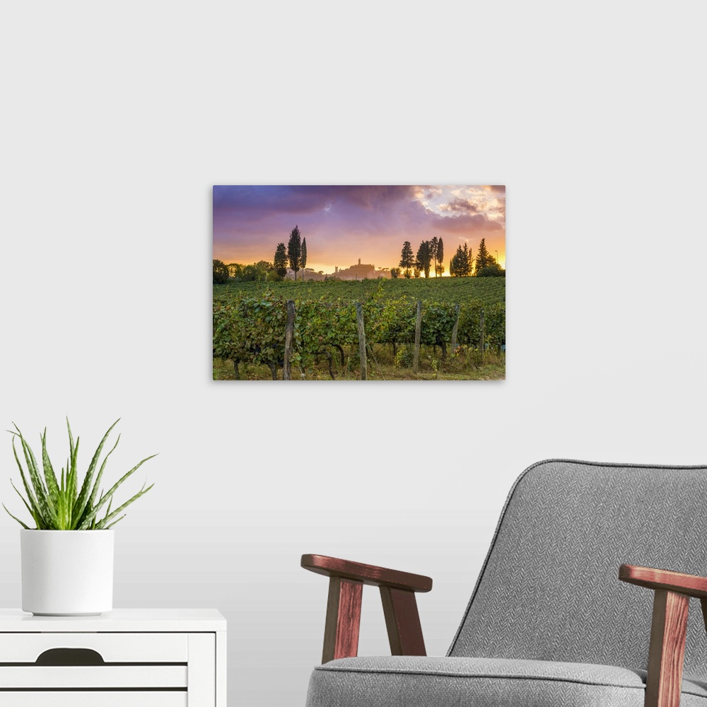 A modern room featuring Italy, Tuscany, Pisa district, San Miniato