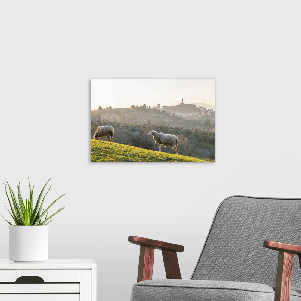 A modern room featuring Italy, Tuscany, Pisa district, San Miniato, View of San Miniato