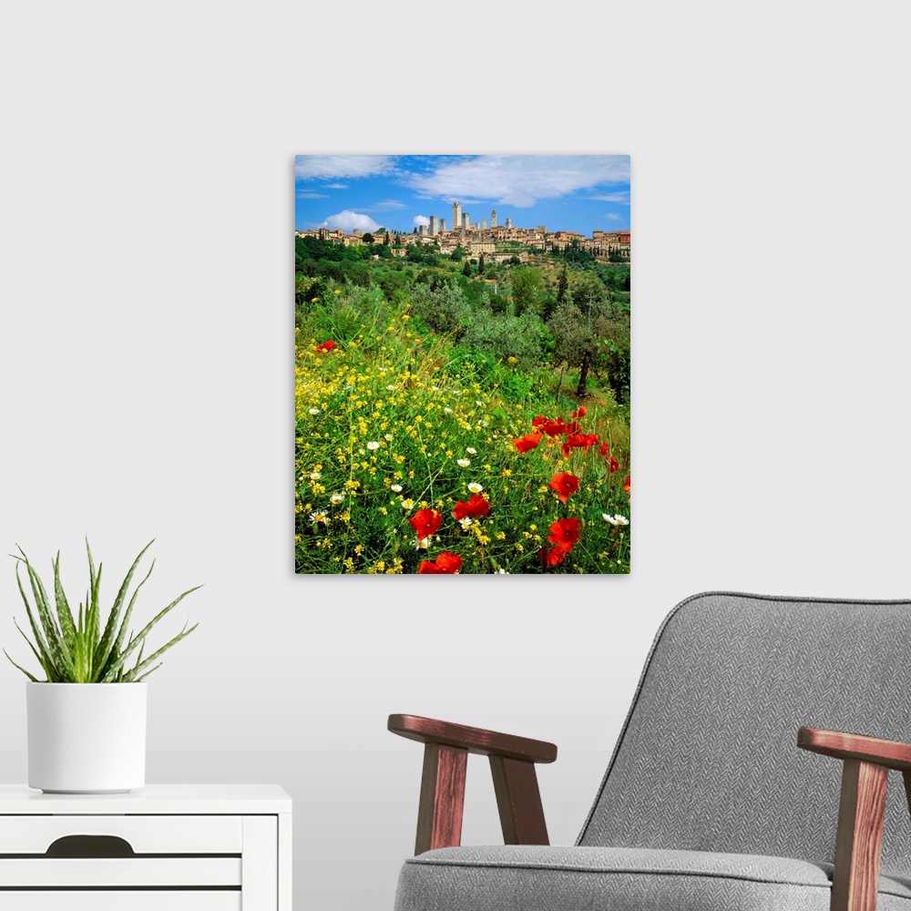 A modern room featuring Italy, Tuscany, San Gimignano, view towards the town