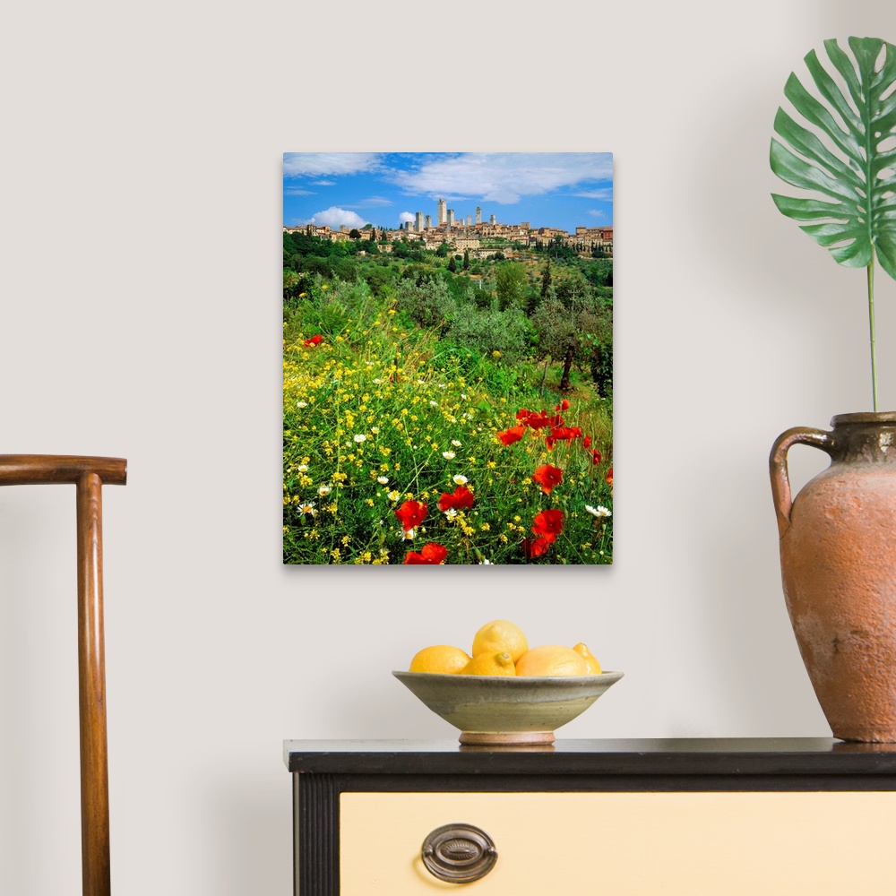 A traditional room featuring Italy, Tuscany, San Gimignano, view towards the town