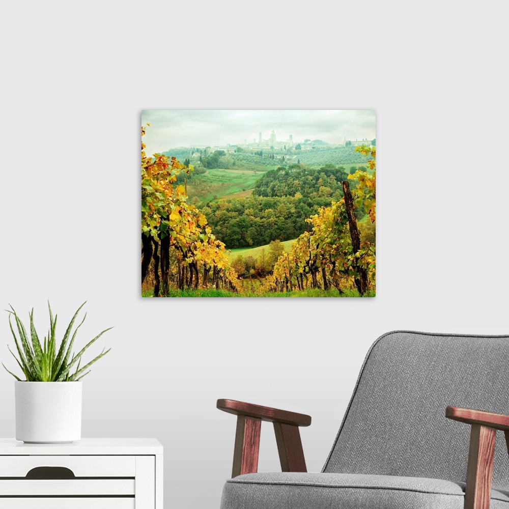 A modern room featuring Italy, Tuscany, San Gimignano, Vineyards and San Gimignano in background