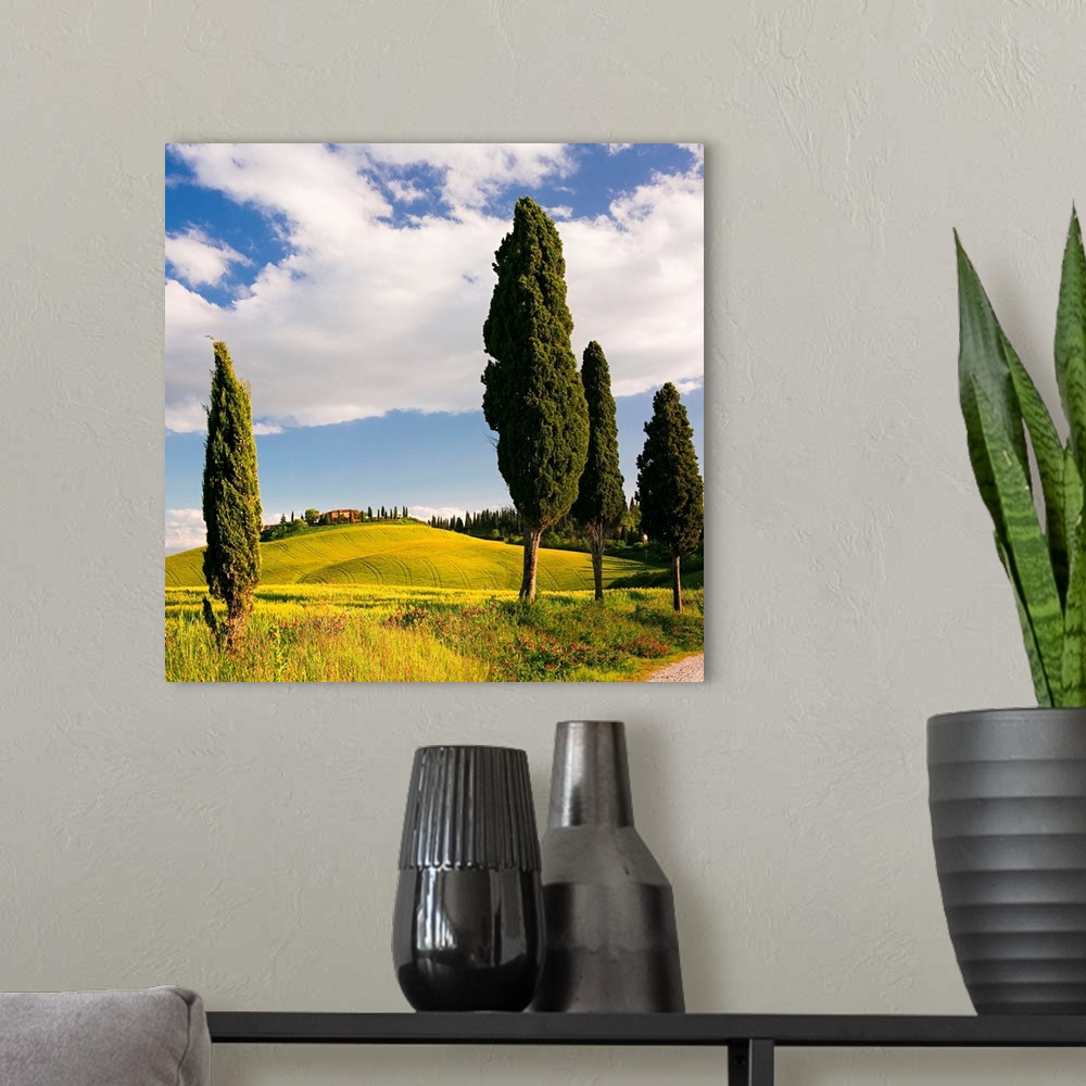 A modern room featuring Italy, Tuscany, Siena district, Crete Senesi, Landscape near Siena.
